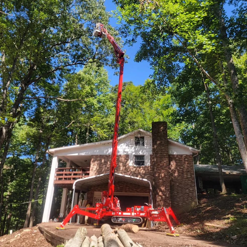 tree trimming Services